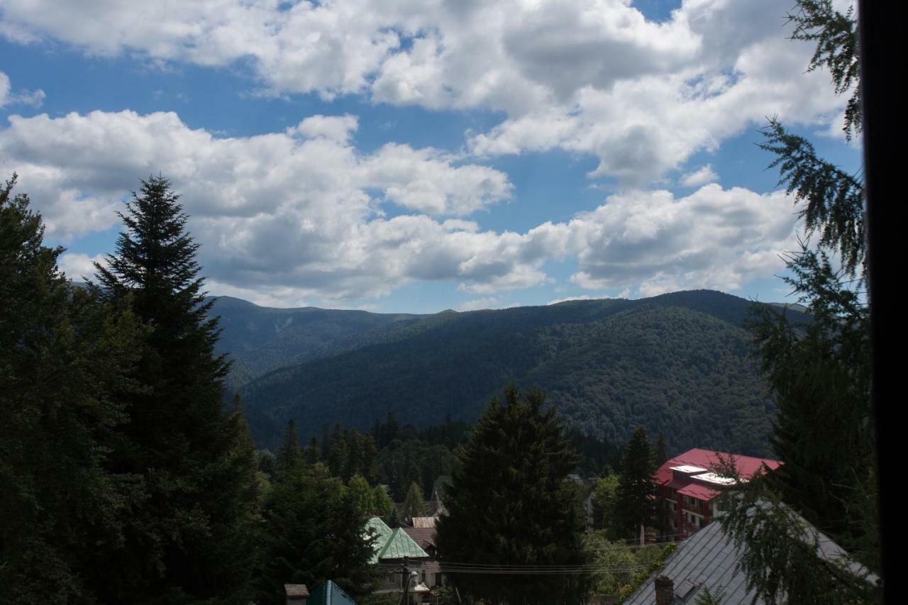 Pensiunea Carmen'S Mansion B Sinaia Luaran gambar