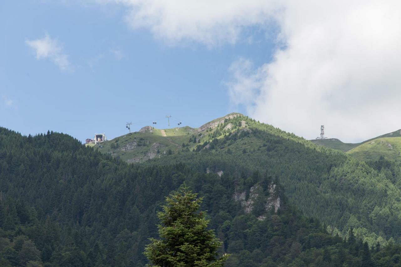 Pensiunea Carmen'S Mansion B Sinaia Luaran gambar